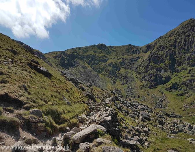The ridge line