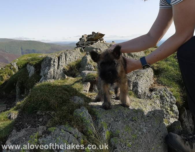 Spud on the summit