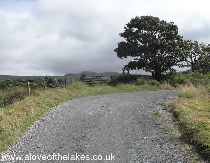 The track meanders towards the farm