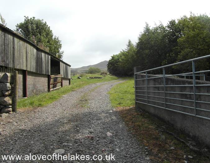 Passing through the Farm