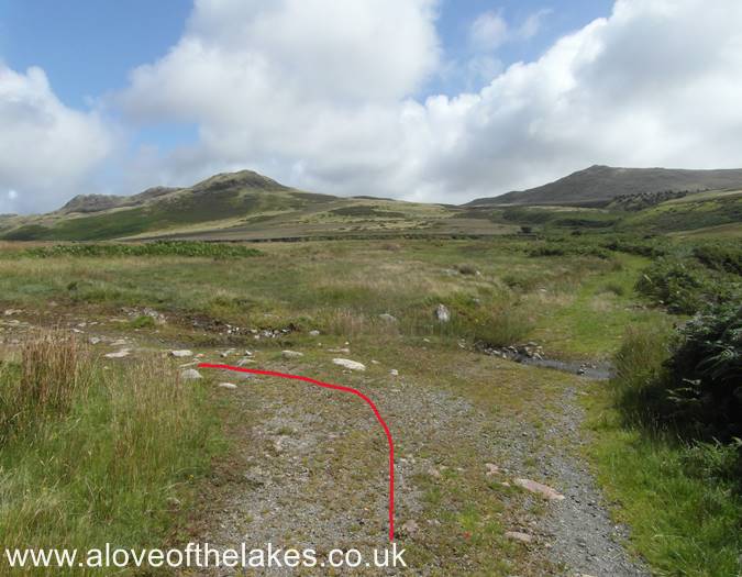 The junction in the path