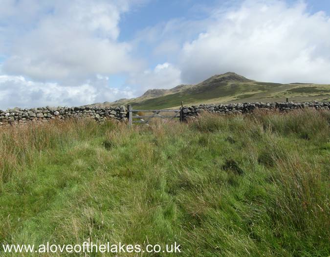 Cross the field to a gate