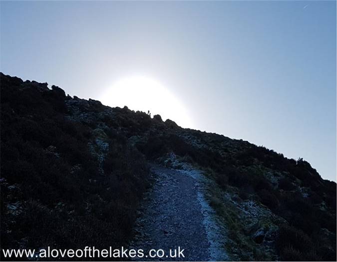 The path cuts through an area of bracken