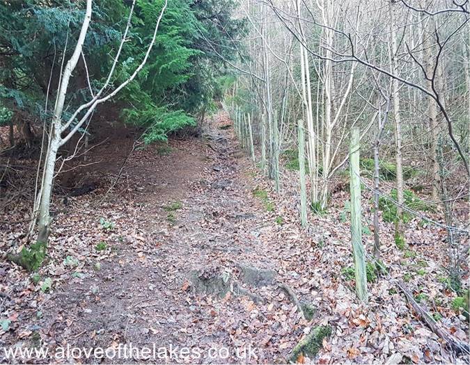 The path becomes steeper