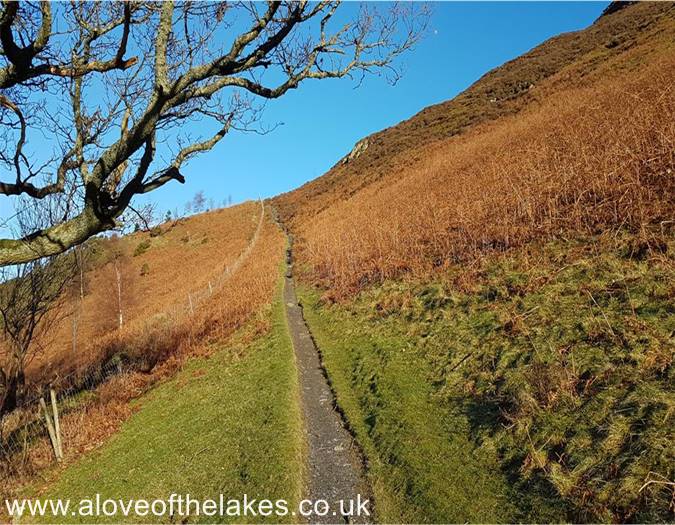 Approaching Ling How