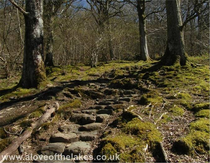 The stepped path