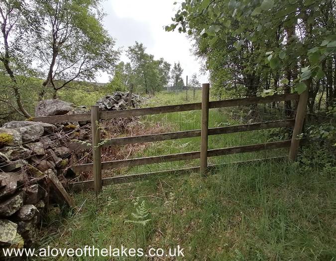 The track leads to a wooden fence 