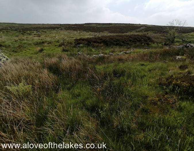 On the open fell side now