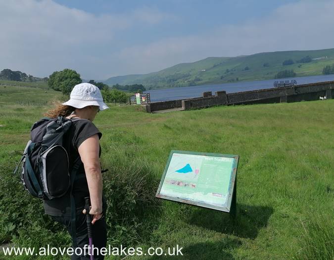 The starting point of the walk