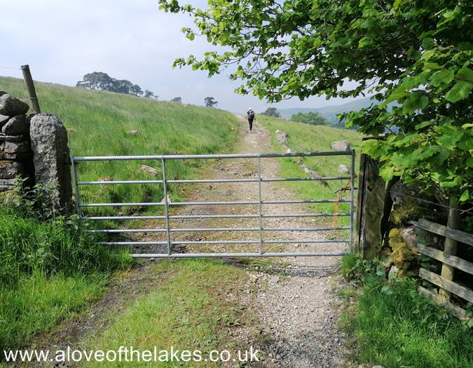 A gate in the path