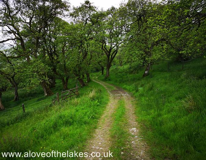 The path drops down gently towards the fords
