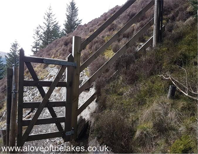 The wooden gate