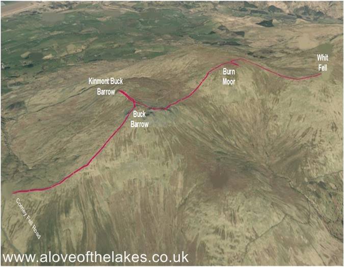 Terrain image