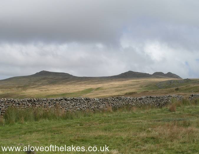 Kinmont Buck Barrow and Buck Barrow from the track